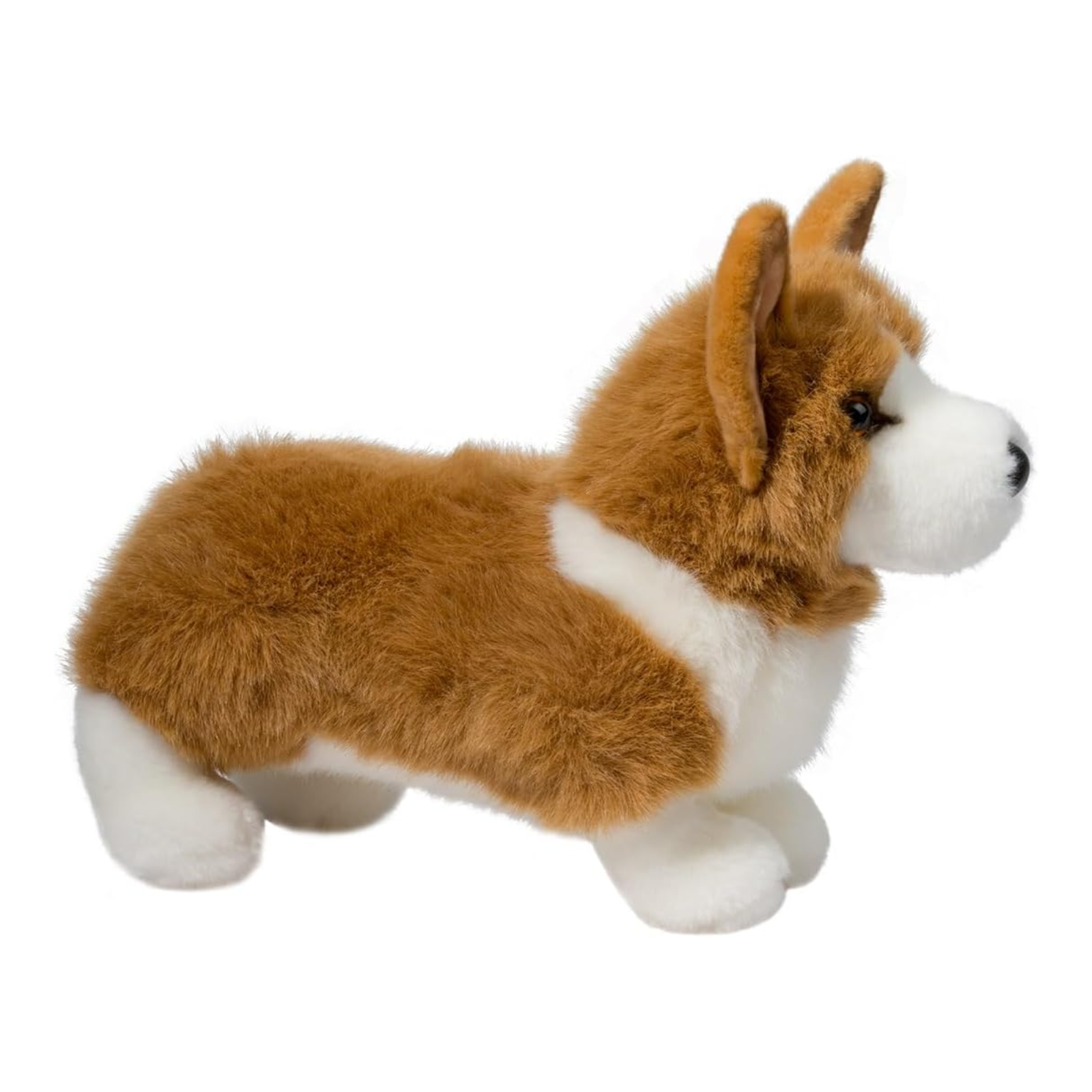 Plush toy corgi dog on a white background