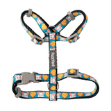 Dog harness with colorful cat pattern on a white background