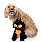 A fluffy light brown dog sits behind a black cat plush toy with bright yellow eyes and an orange belly on a clean white background.