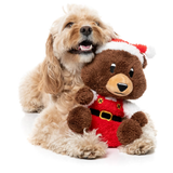 FuzzYard Santa Fuzz Bear Dog Toy