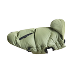 Green dog coat on a white background