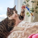 Giddy Kitty Purrsuits Cat Treat Toy Playset