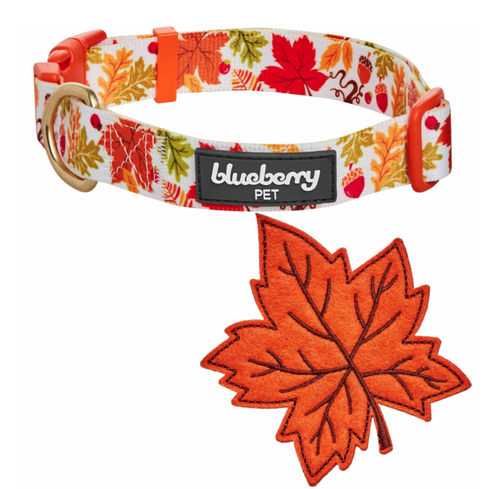 Dog collar with autumn leaf pattern and a matching leaf-shaped tag on a white background, featuring the brand 'Blueberry Pet'.