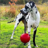 Jolly Pets Romp n Roll Ball Red