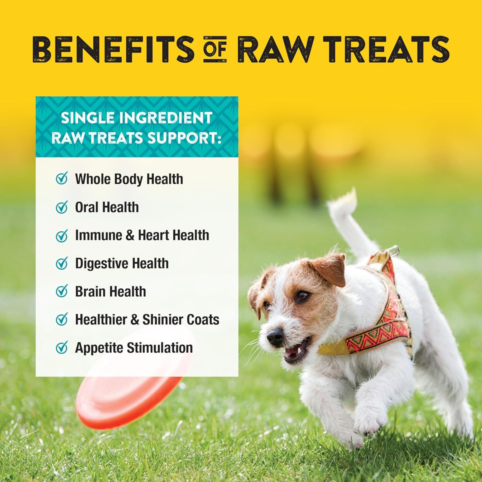 Dog running on grass with text about the benefits of raw treats
