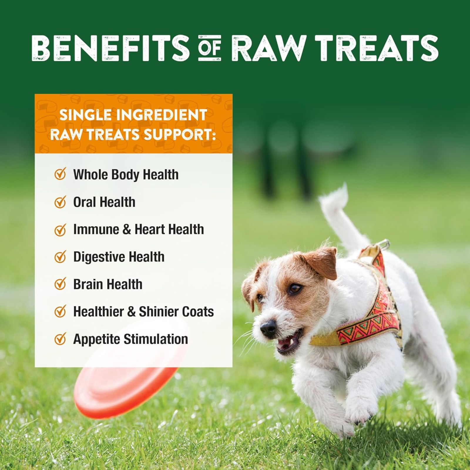 Dog running on grass with benefits of raw treats text overlay