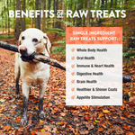 Dog holding a stick with benefits of raw treats text overlay in a forest setting