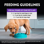 Dog eating from a blue bowl with feeding guidelines text overlay