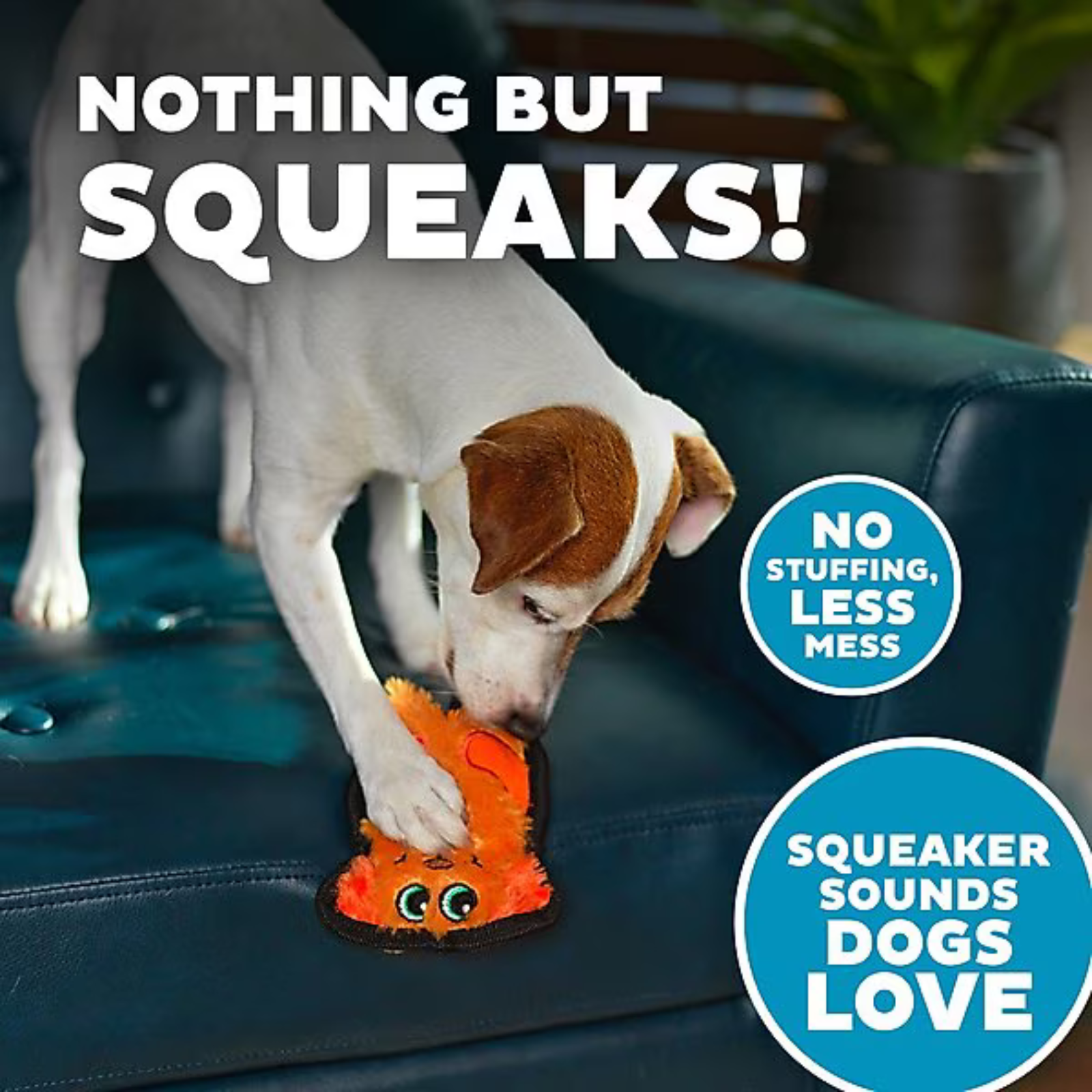 Dog playing with a squeaky toy on a couch, with text highlighting features of the toy.