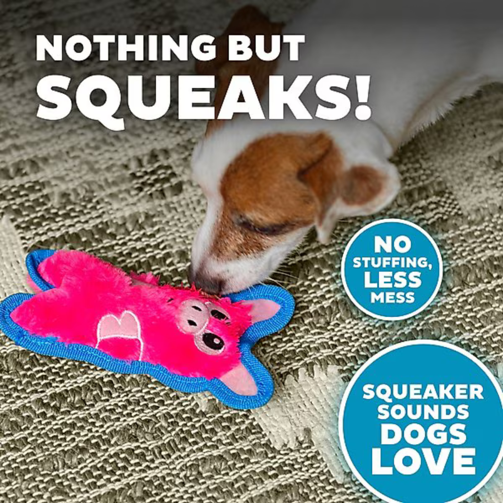 Dog playing with a pink and blue toy on a textured surface, with text highlighting features of the toy.