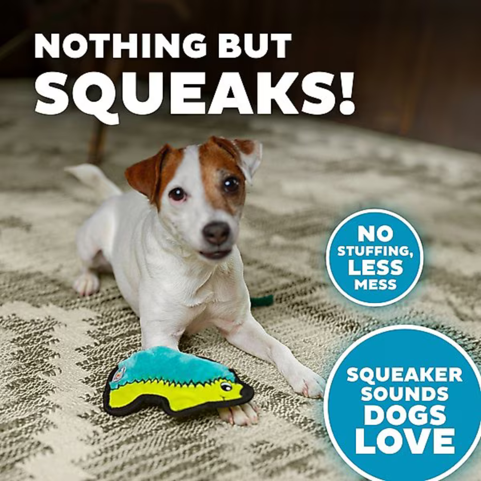 Dog playing with a squeaky toy on a carpeted floor, with text highlighting the toy's features.