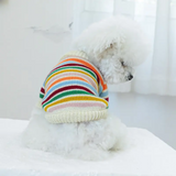 White dog wearing a colorful striped beanie on a light background
