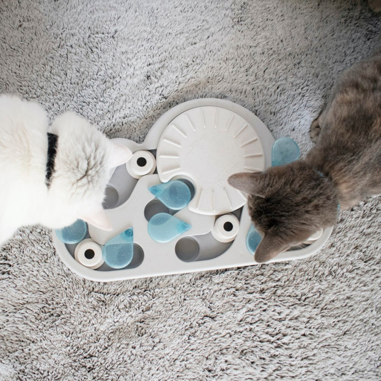Cat playing with a cloud-shaped puzzle toy on a fluffy carpet