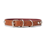 Wide Studded Leather Collar Brown 5/8in
