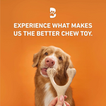 Dog holding a chew toy with text 'Experience what makes us the better chew toy' on an orange background