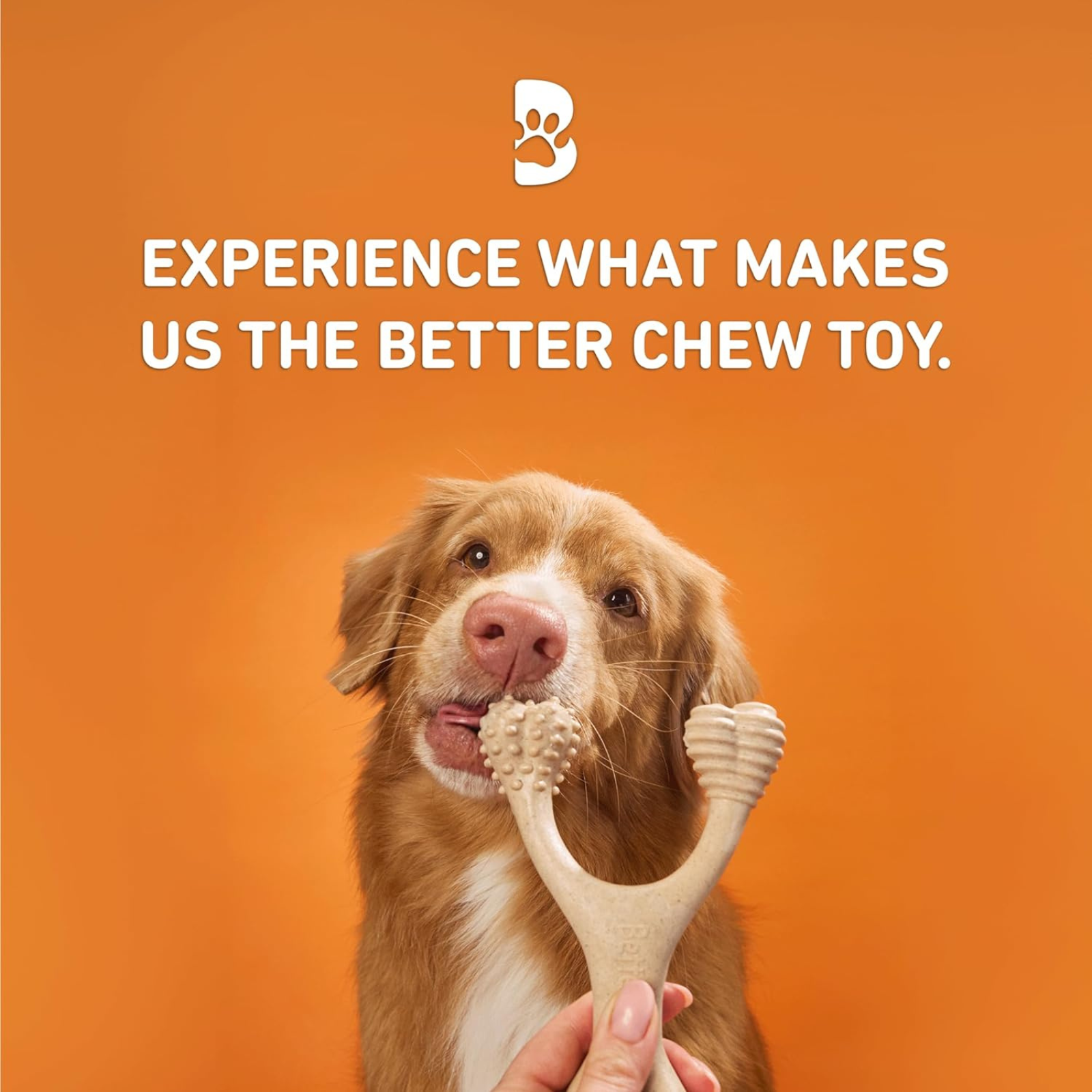 Dog holding a chew toy with text 'Experience what makes us the better chew toy' on an orange background