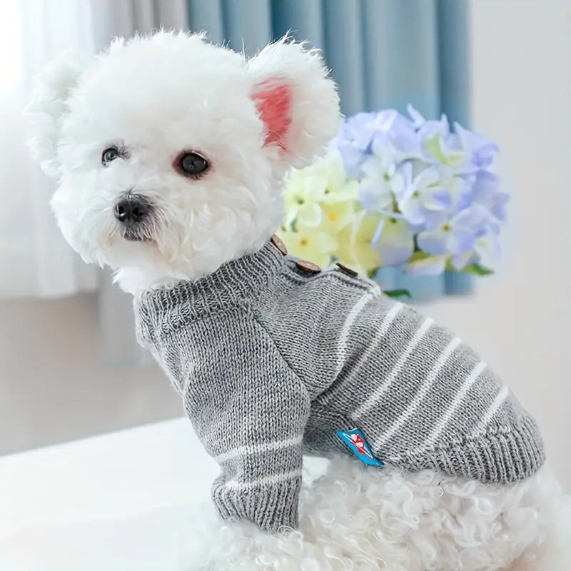 Small white dog wearing a gray knitted outfit with a blurred floral background