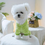 Small white dog wearing a green outfit sitting on a white surface with a blurred background
