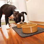 Dog drinking from a bowl on a wooden floor