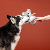 Fringe Koal-ity Vibes Only Dog Toy