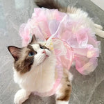 Cat wearing a pink fairy costume on a light gray floor