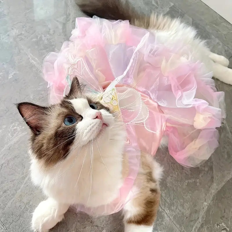 Cat wearing a pink fairy costume on a light gray floor