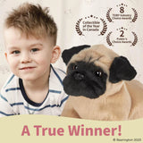 Lil Pugsly The Pug 6in