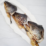 Naked Beasts Salmon Head Halves