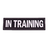 EzyDog Convert Patch In-Training