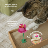 Giddy Kitty Springy Flower Cat Treat Toy Jelly Beans