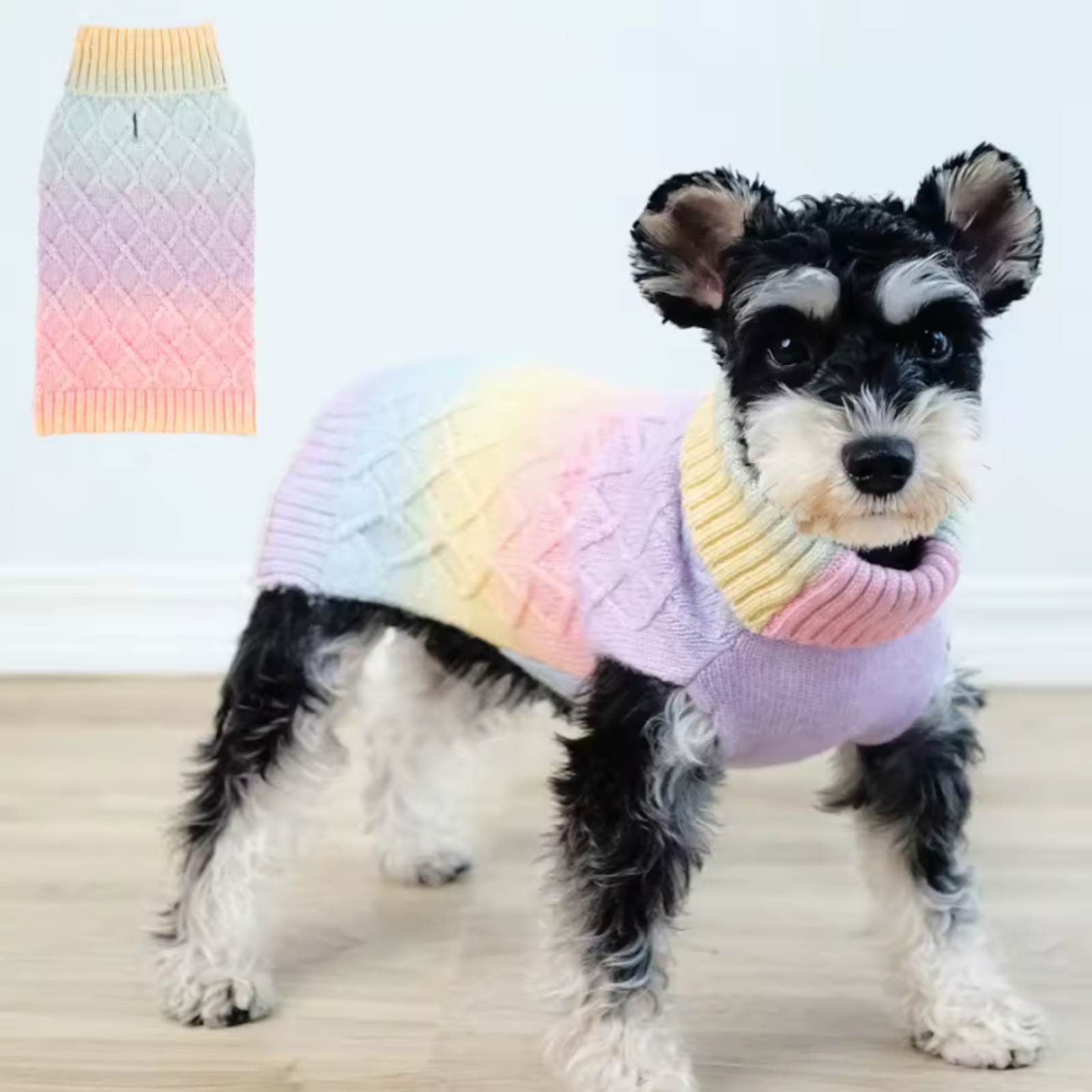 Dog wearing a colorful sweater with a close-up of the sweater on the left.