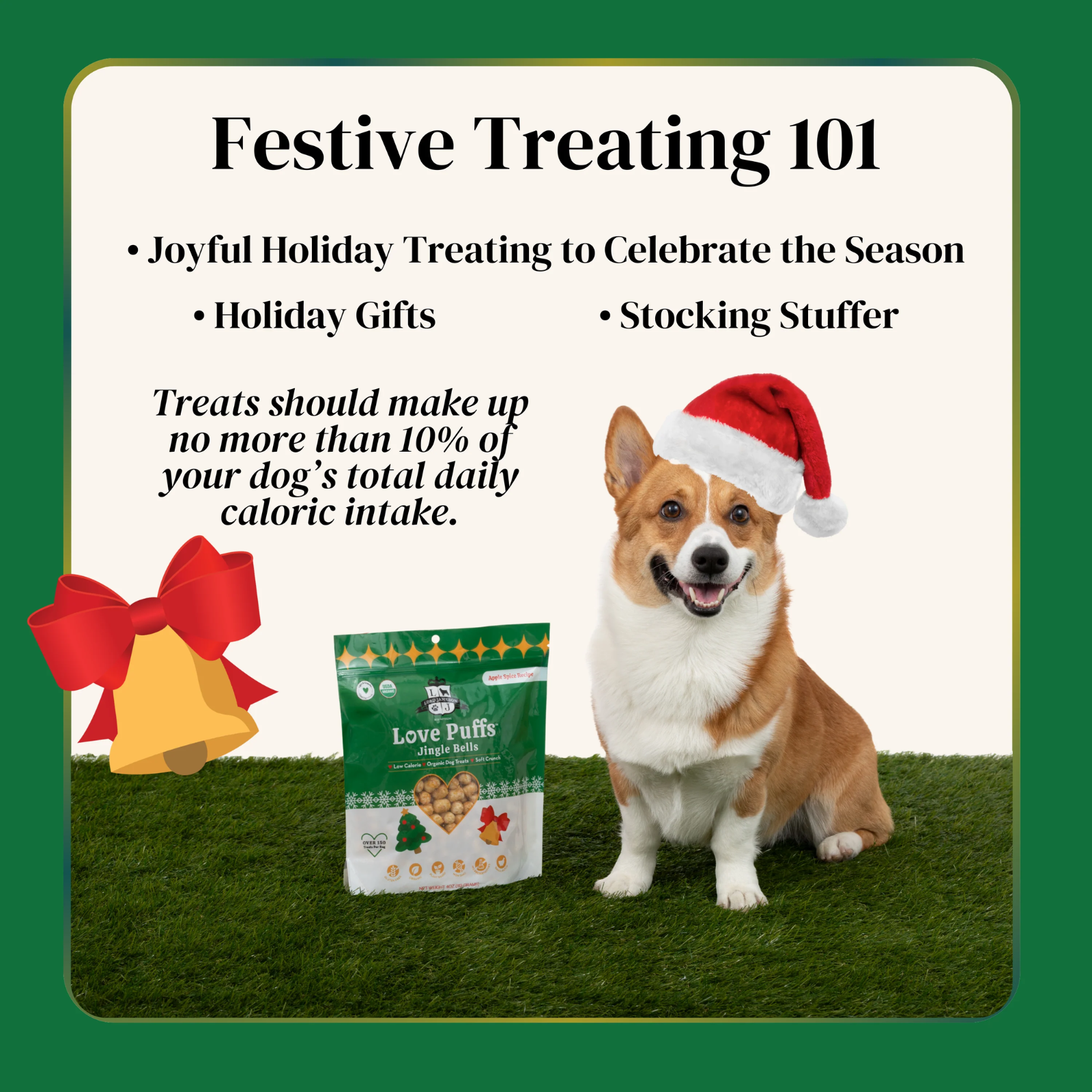 Dog wearing a Santa hat with a bag of treats and text about festive treating.