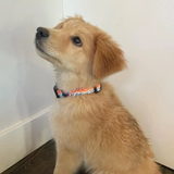 Mountain Straps Spanish Peaks Collar
