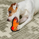 Dog playing with an orange toy on a textured surface
