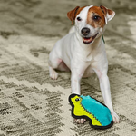 Dog playing with a blue and yellow toy on a textured surface