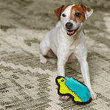 Dog playing with a blue and yellow toy on a textured surface