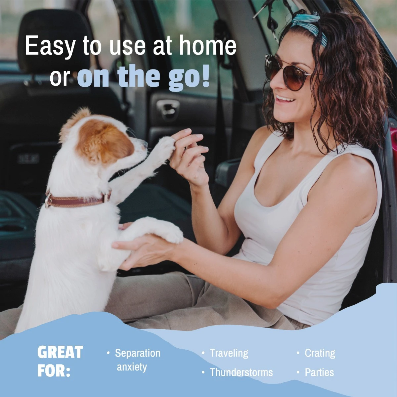Woman sitting in a car with a dog, with text about ease of use at home or on the go.