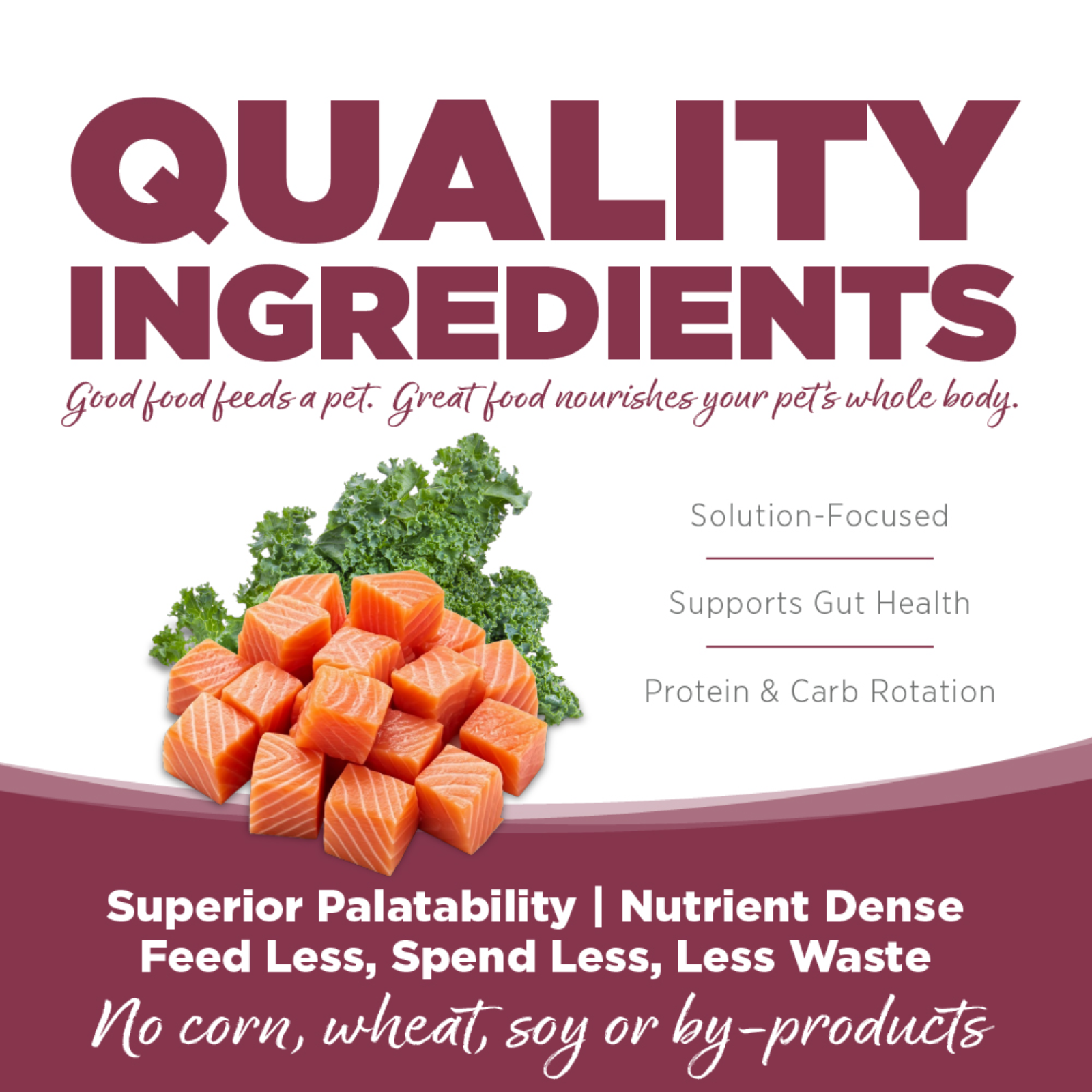 Advertisement for pet food with salmon pieces and text about quality ingredients and benefits.