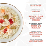 Dog food bowl with rice and vegetables on a white background