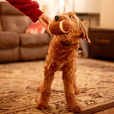 ThoozyPet Football Plush Dog Toy