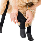 Walkee Paws Deluxe Easy On Boot Leggings Black