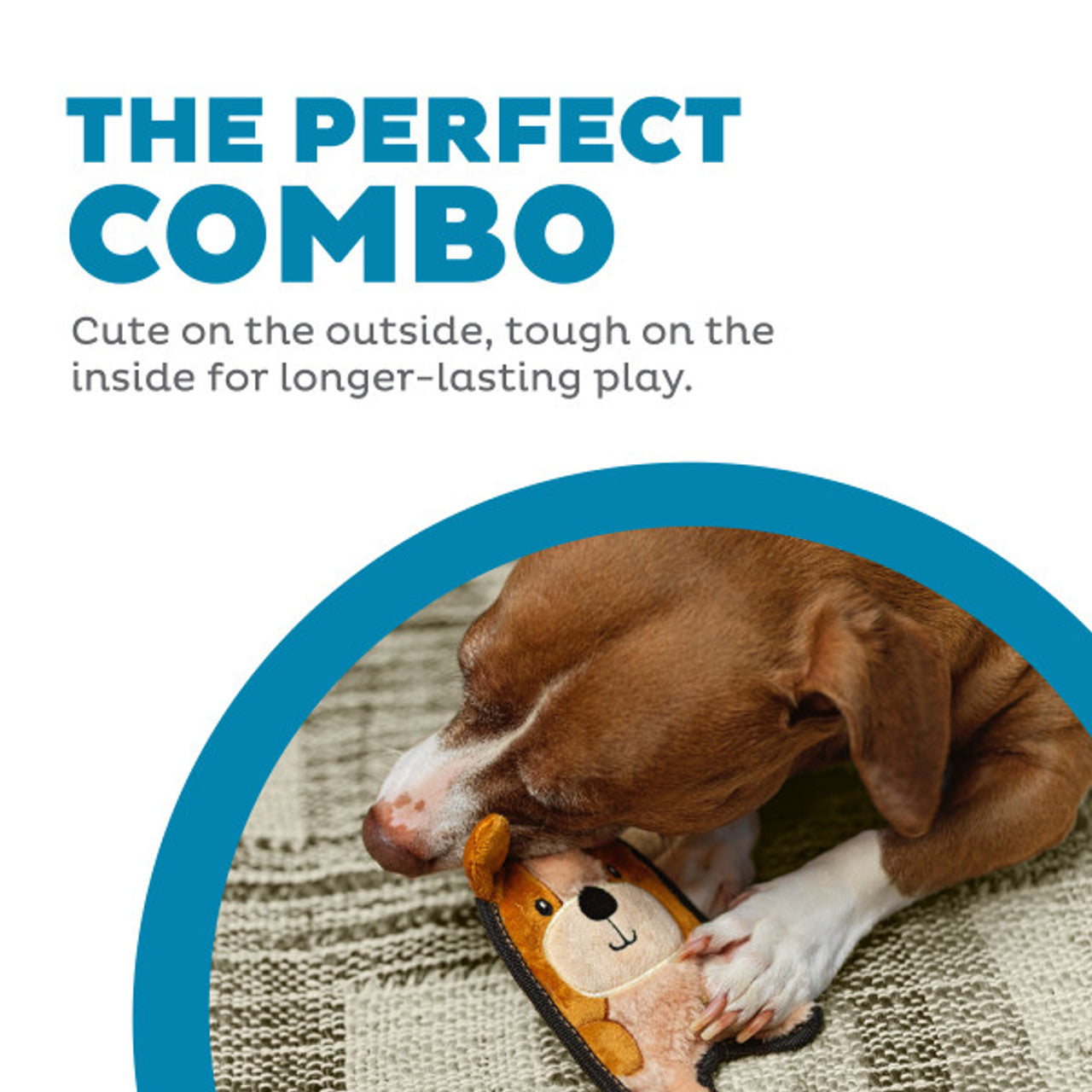 Dog playing with a toy, text 'The Perfect Combo' on a white background