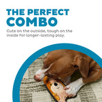 Dog playing with a toy, text 'The Perfect Combo' on a white background