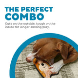 Dog playing with a toy, text 'The Perfect Combo' on a white background