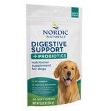 Nordic Naturals Digestive Support Chews 30ct