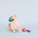 Fringe Any Fin Is Possible Plush Dog Toy 3pk