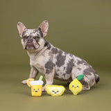 Fringe Sour You Doing Plush Dog Toy 3pk