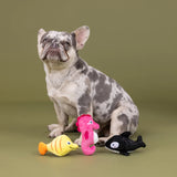 Fringe High Fin Buds Plush Dog Toy 3pk