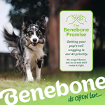 Dog running with a Benebone product in its mouth, featuring the Benebone Promise on a green background.