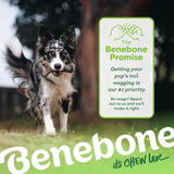 Dog running with a Benebone product in its mouth, featuring the Benebone Promise on a green background.
